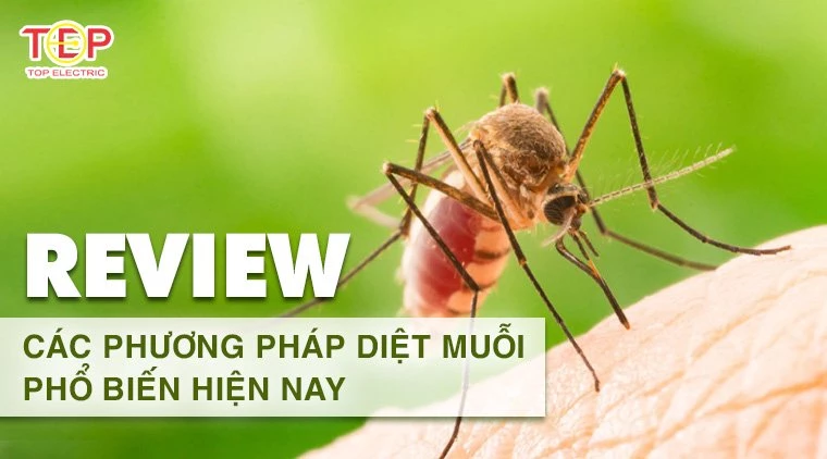 review cac phuong phap diet muoi pho bien hien nay